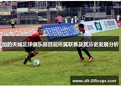 加的夫城足球俱乐部目前所属联赛及其历史发展分析 加的夫城足球俱乐部目前所属联赛及其历史发展分析